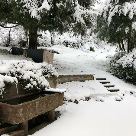 Holiday home La Remise Du Murge Saulxures-sur-Moselotte